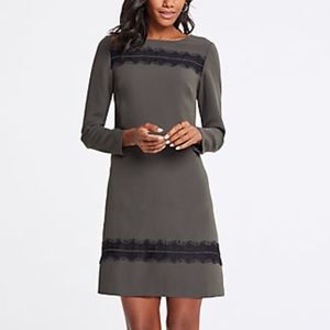 Lace Trim Shift Dress